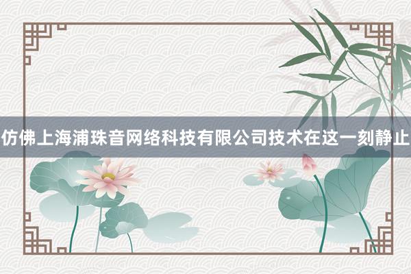 仿佛上海浦珠音网络科技有限公司技术在这一刻静止